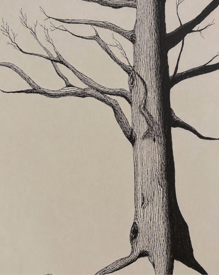 Rooted