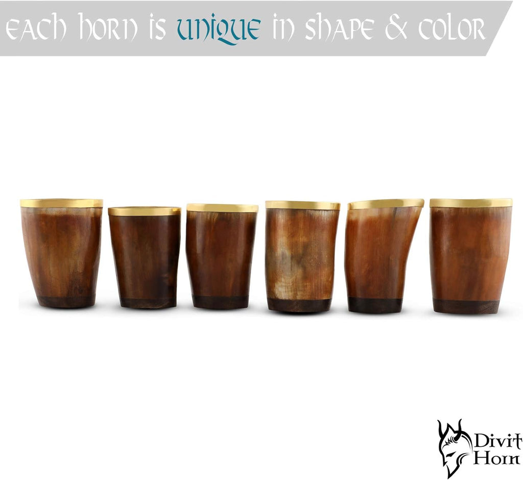 Divit Genuine Viking Drinking Horn Mug | Authentic Medieval Beer Horn Tankard | 24Oz Capacity Horn Cup/Stein. (Brown Shot Glass, Polished (Set of 6))