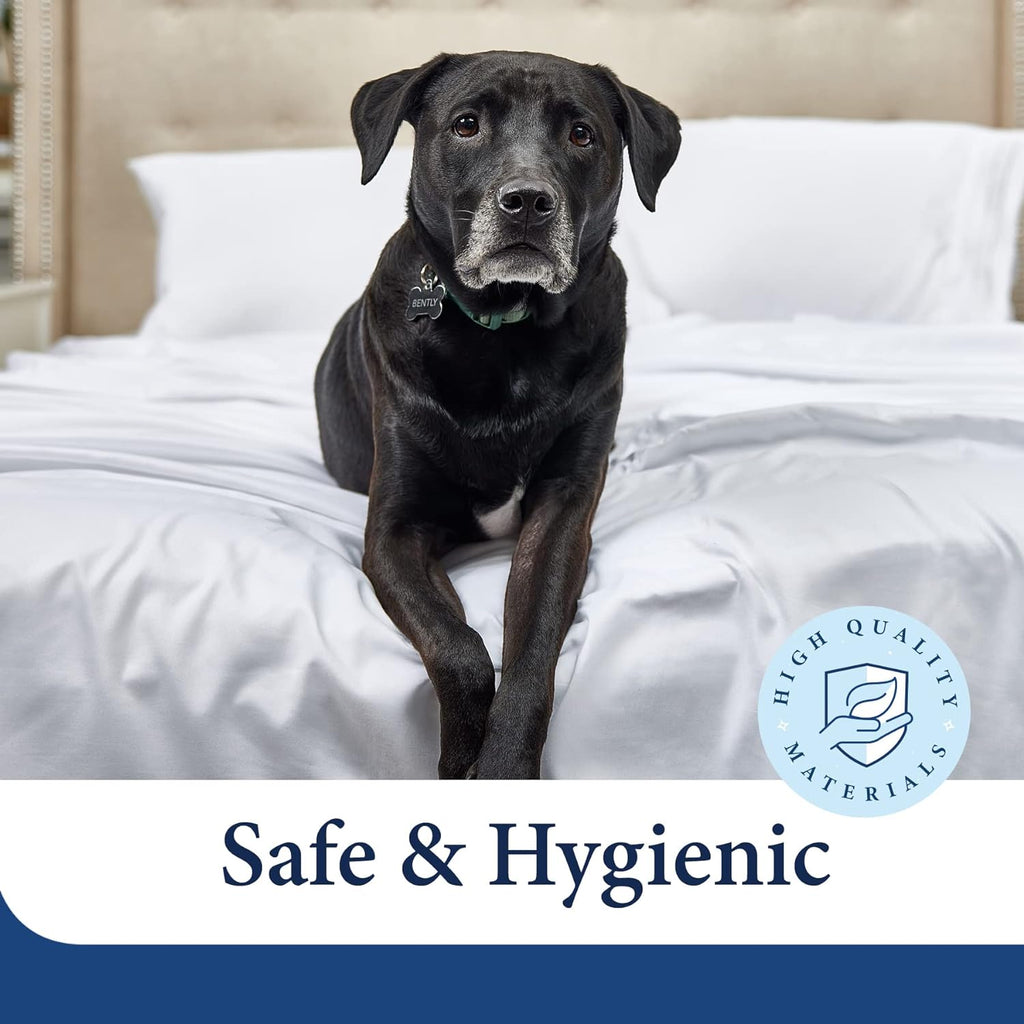 Everyday 1500 Series Bed Sheet Set - Ultra Soft & Cool Hotel Bedding - Deep Pocket - Wrinkle, Stain and Fade Resistant - 3 Piece Set (Twin, Burnt Orange)